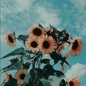 Meet your Posher, Aniyah